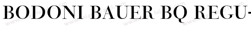 Bodoni Bauer BQ Regu字体转换